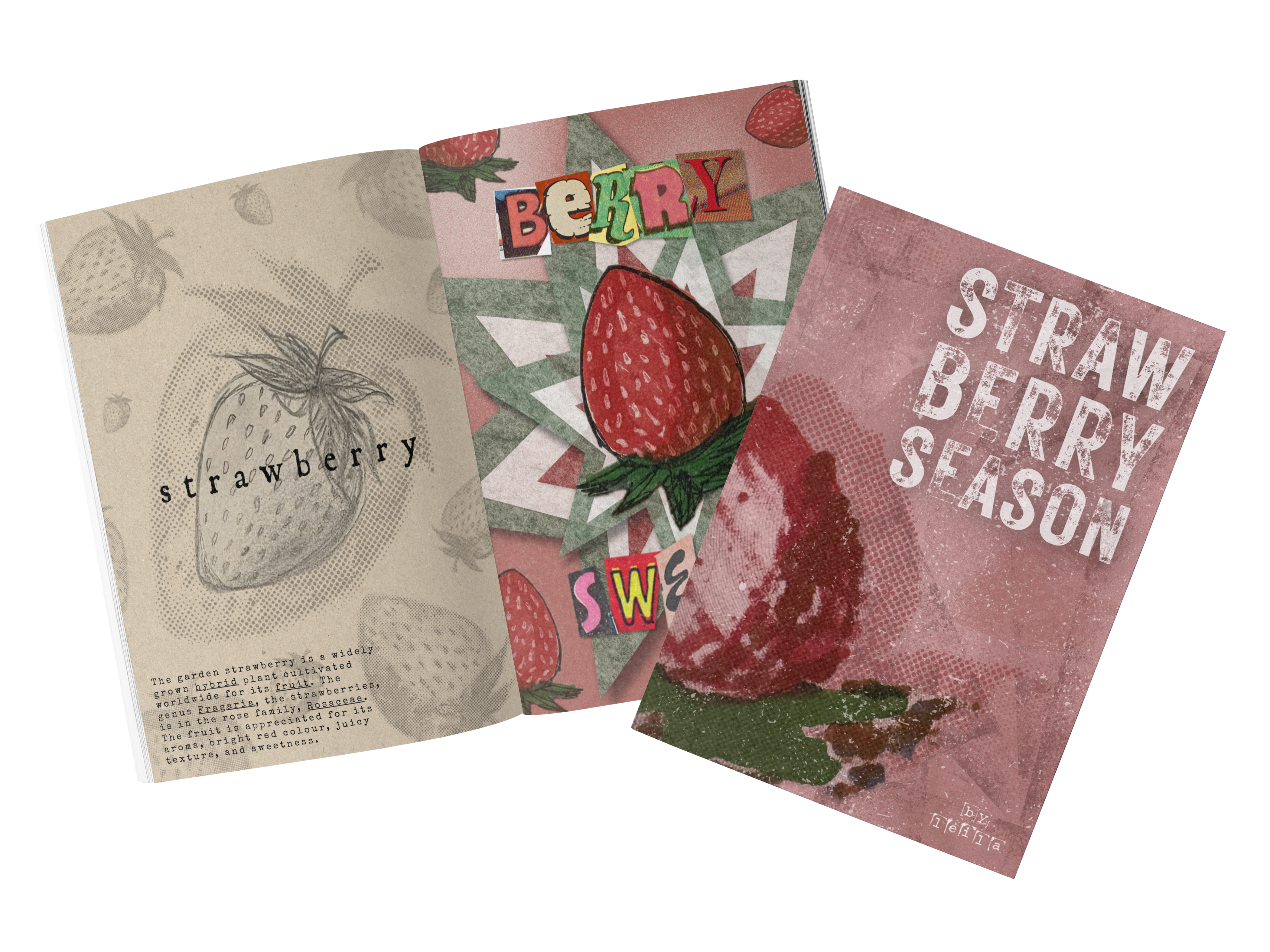 Strawberry Season, image 1 of 5